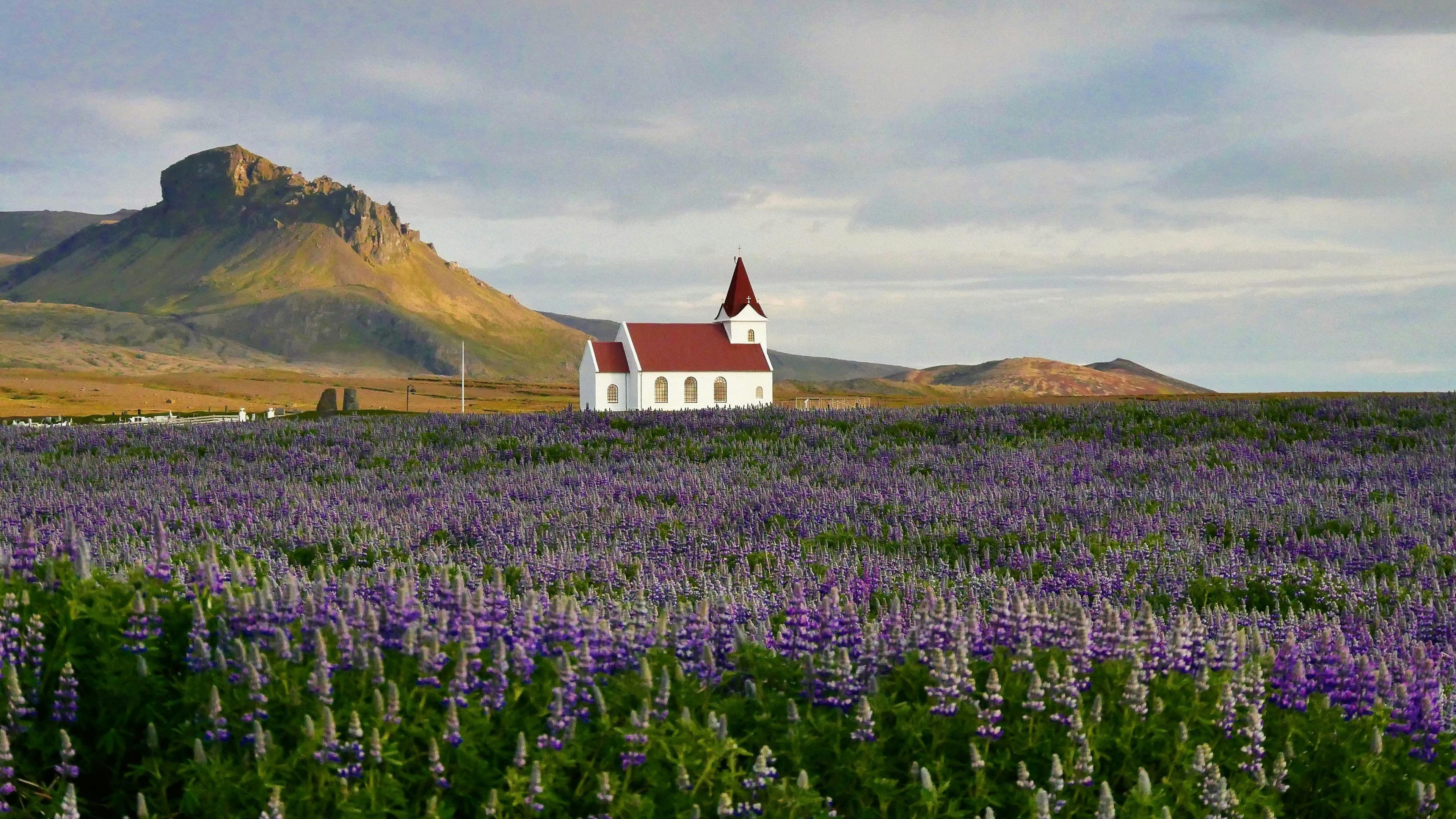 Spring in Iceland